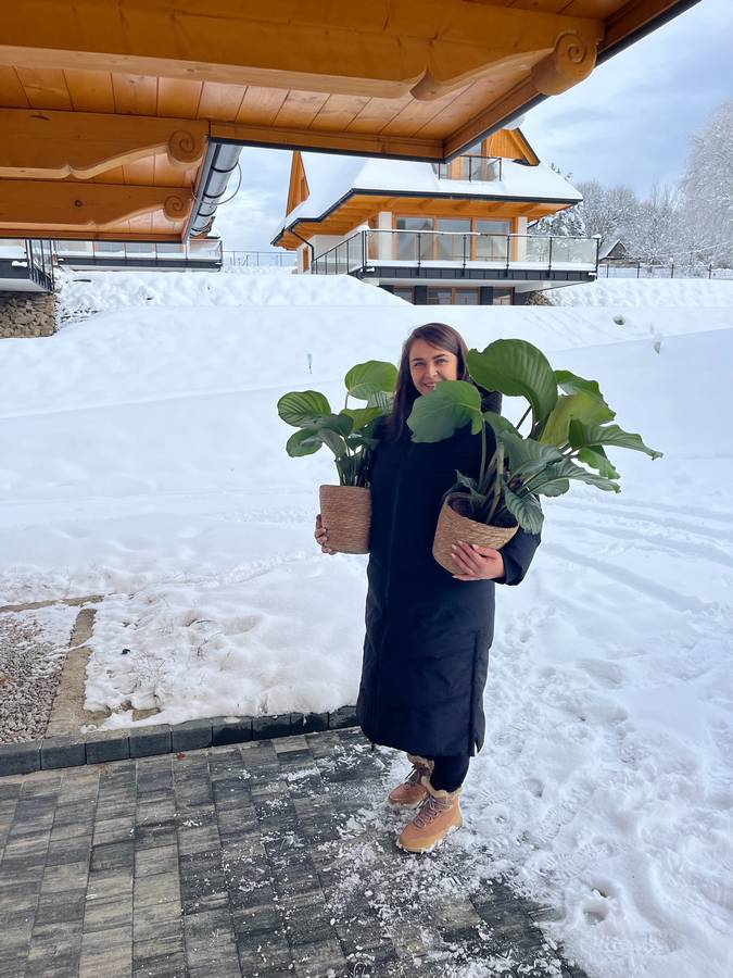 Agencja nieruchomosci krakow beata wolinska 07